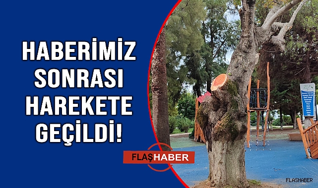 TEHLİKE ORTADAN KALKTI!