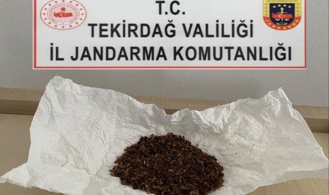 Tekirdağ'da Jandarma operasyonları: Uyuşturucu ve silah ele geçirildi