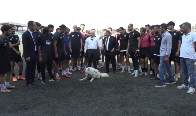 Tepecik Spor'un sahiplendiği sevimli köpek takımın maskotu oldu