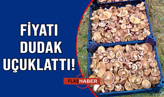 TEZGAHA DÜŞTÜ!