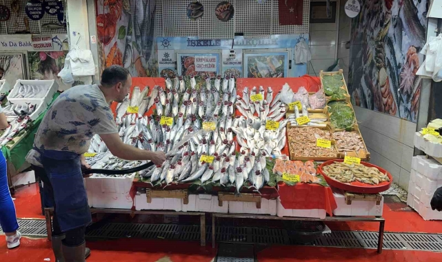 Tezgahlarda palamut bolluğu yaşanıyor, fiyatlar yarı yarıya düştü