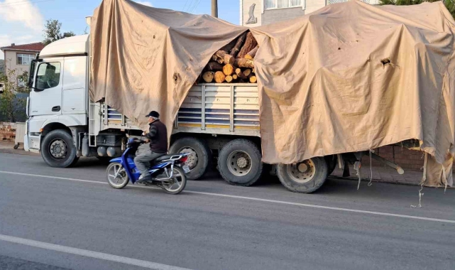 Tonlarca kütük yola devrildi, öğretmen bir adımla ölümden kurtuldu