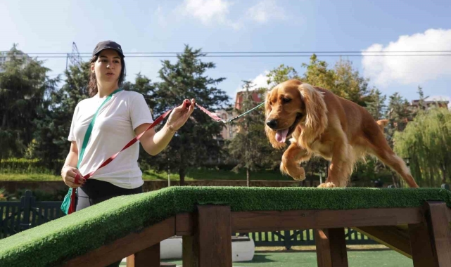 Türkiye'nin en kapsamlı Köpek Eğitim Merkezi Ümraniye'de