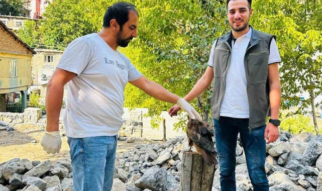 Uludere'de yaralı bulunan kaya kartalı tedavi altına alındı