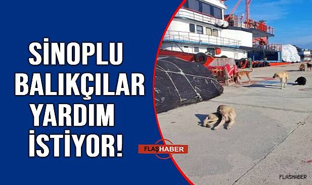 UYUZ KÖPEKLER TEHLİKE SAÇIYOR!