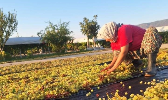 Üzümcünün gözü kulağı meteorolojide