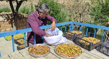 Uzun kış gecelerinde tüketmek için meyveler damlarda kurutuluyor