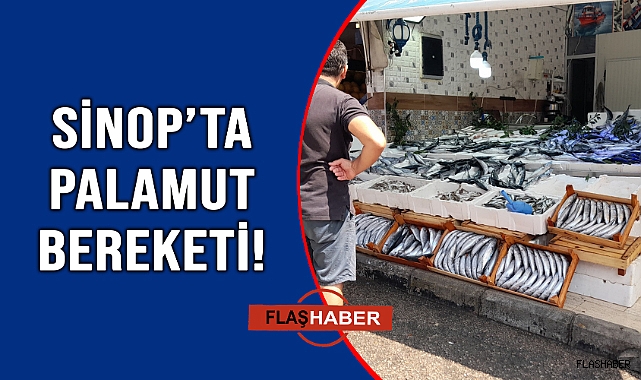 VATANDAŞ PALAMUTA DOYACAK!