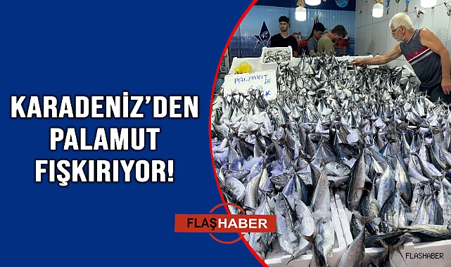 VATANDAŞ PALAMUTA DOYDU!