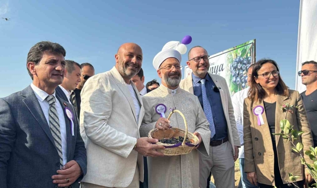 Yalova Aronya Festivali renkli görüntülerle başladı