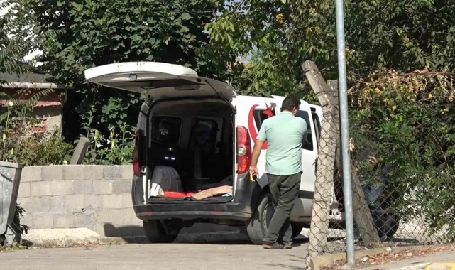 Yalova Şehir Mezarlığı'na defineciler dadandı: 3 ayda 3 kez mezarlıkta kazı yaptılar