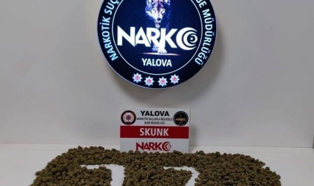 Yalova'da uyuşturucu operasyonunda 2 tutuklama