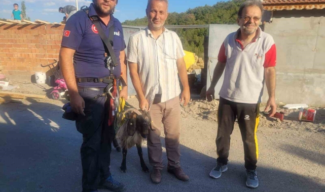 Yamaca sıkışan keçi AFAD ekiplerince kurtarıldı