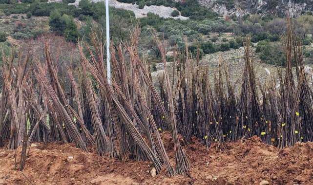Yangında kovanları yanan arıcılara Büyükşehir'den malzeme desteği