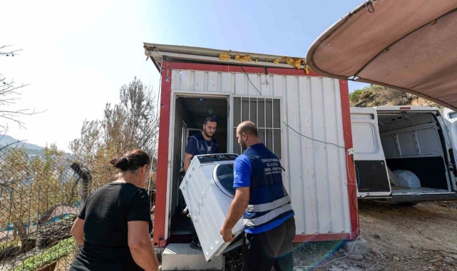 Yangınların ardından İzmir'in yaraları sarılıyor