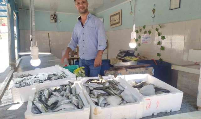 Yasak kalktı, tezgahlar balık doldu, fiyatlar uygun
