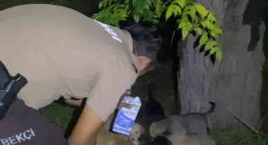 Yavru köpeklerin karnını doyuran bekçiler yürekleri ısıttı