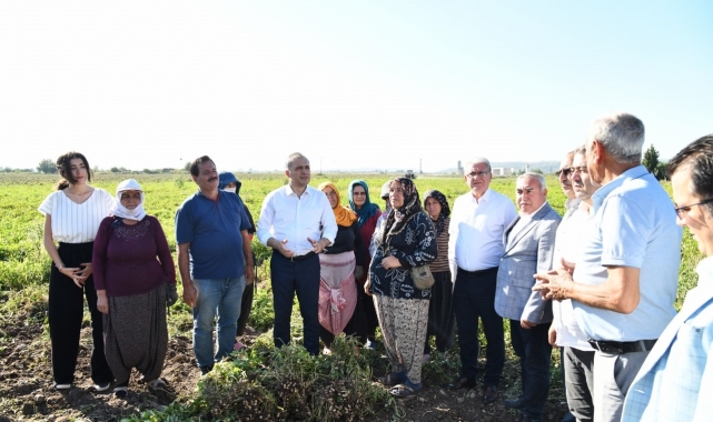 Yer fıstığının başkenti Osmaniye'de festival heyecanı