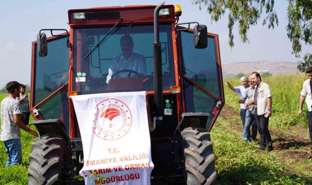 Yer fıstığının başkenti Osmaniye'de hasat başladı