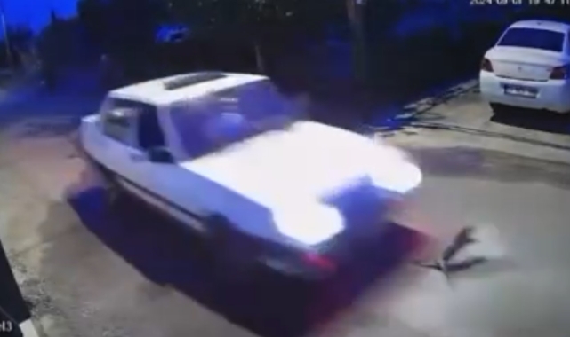 Yola çıkan kedi araç altında telef oldu, sürücü yoluna devam etti