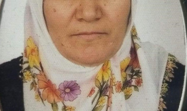 Yolun karşısına geçmek isteyen kadına hafif ticari araç çarptı: 1 ölü