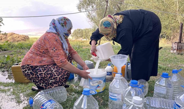 Yüksekova'da kışlık süt mesaisi