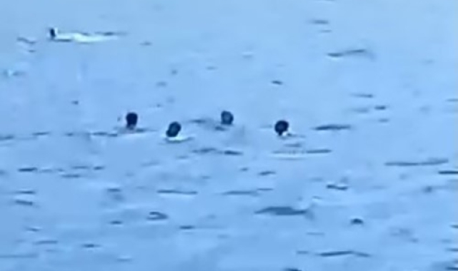 Yüzerek Yunanistan&#039;a geçmeye çalışan 5 düzensiz göçmen yakalandı