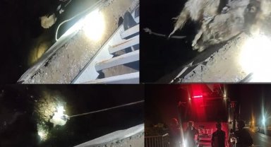 Zap Suyu'nda nefes kesen oğlak kurtarma operasyonu