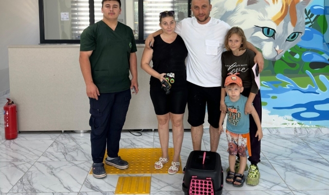 10 ayda 170 sokak hayanına yuva bulundu