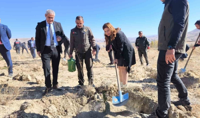 101. Yıla özel 101 fidan toprakla buluştu