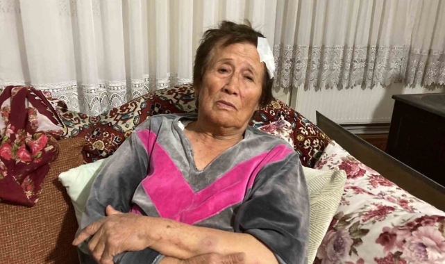 66 yaşındaki kadını sopa ve bisiklet ile acımasızca darp etti