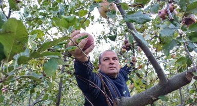 Adana'da zirveye kar yağdı, elma hasadı erken yapıldı