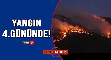 Alevlerle mücadele devam ediyor