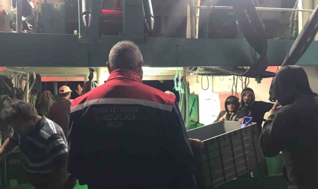 Altınkum iskelesinde 'Hamsi' denetimi yapıldı