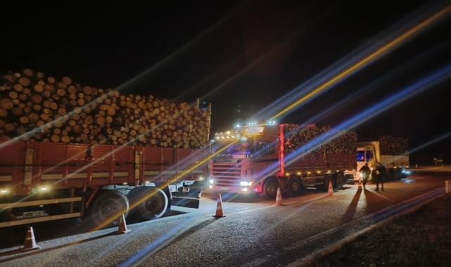 Alucra'da orman ürünleri taşıyan araçlar denetlendi