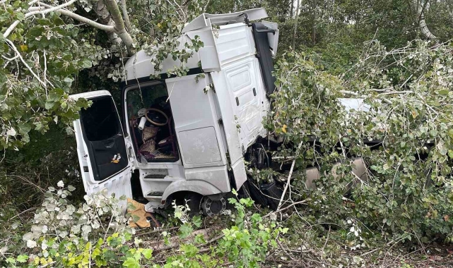 Anadolu Otoyolu'nda kontrolden çıkan tır, ağaca çarparak durabildi: 1 yaralı