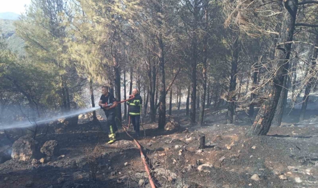 Antakya'da orman yangını