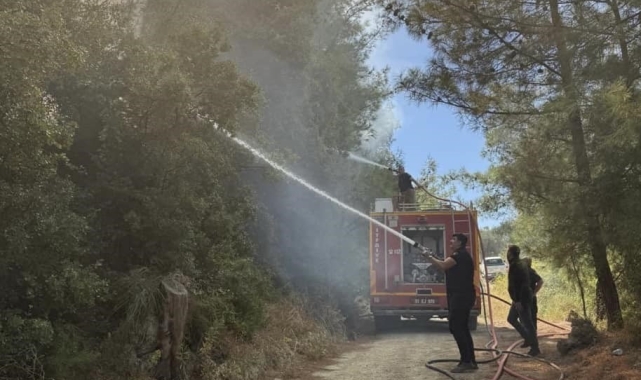 Antakya'da orman yangını kısa sürede söndürüldü