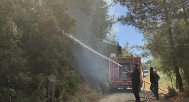 Antakya'da orman yangını kısa sürede söndürüldü