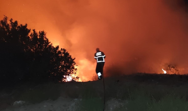 Antakya'da ormanlık alanda yangın
