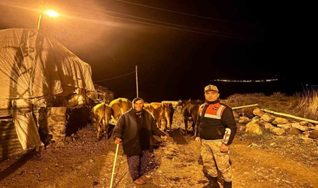 Ardahan'da kaybolan hayvanlar bulunup sahibine teslim edildi