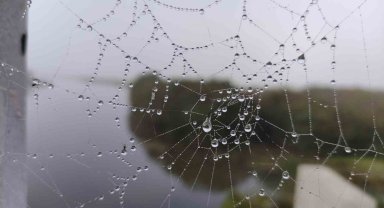 Ardahan'da yoğun sis nedeniyle göz gözü görmedi