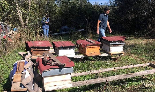 Arılı kovan desteklemesi başvuruları devam ediyor