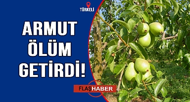 Armut ağacından düşen vatandaş hayatını kaybetti