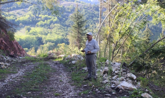 Artvin'de Kutlu köyü bağlığı ve civarındaki kazılar devam ediyor