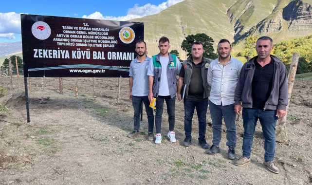 Artvin'de keşfedilen bal, köylünün yeni gelir kapısı oldu