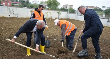 Atakum'daki okullarda meyve ağaçları yetiştirilecek
