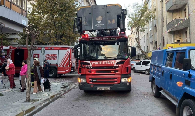 Avcılar'da yangın çıkan dairede mahsur kalan tavşanı itfaiye kurtardı