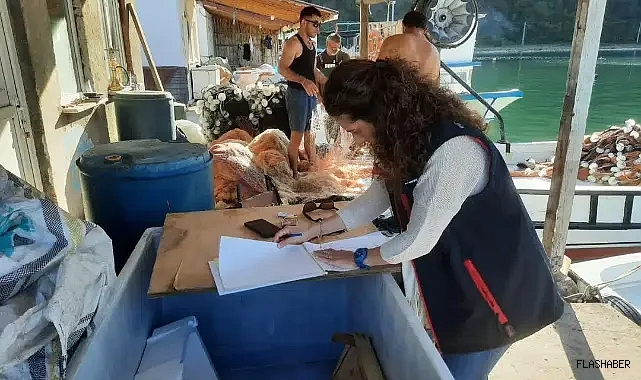 Ayancık’ta balık denetimi