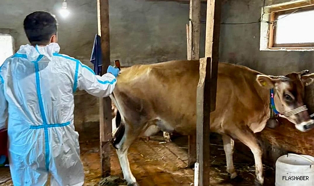 Ayancık'ta yetiştiriciler için aşı uyarısı yapıldı